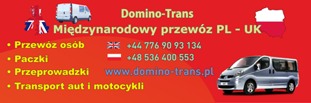 Domino-Trans banner luty 2013